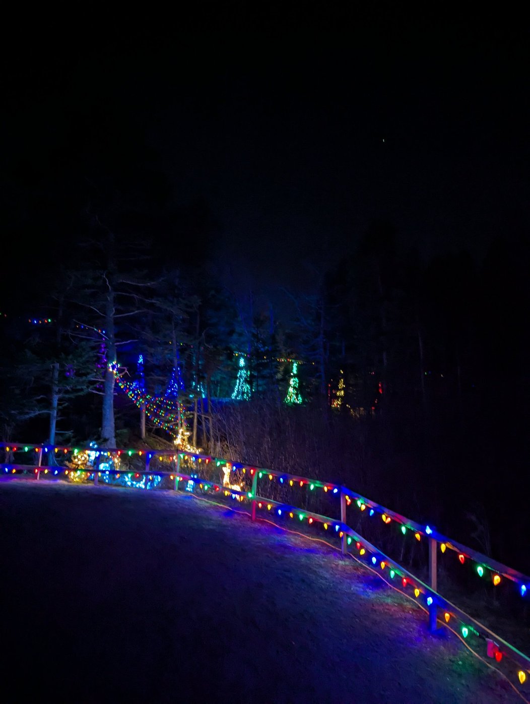 Christmas lights along the Manuels River Trail in December
