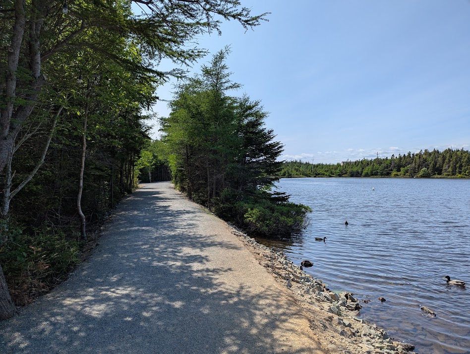 Path around a pond with ducks swimming