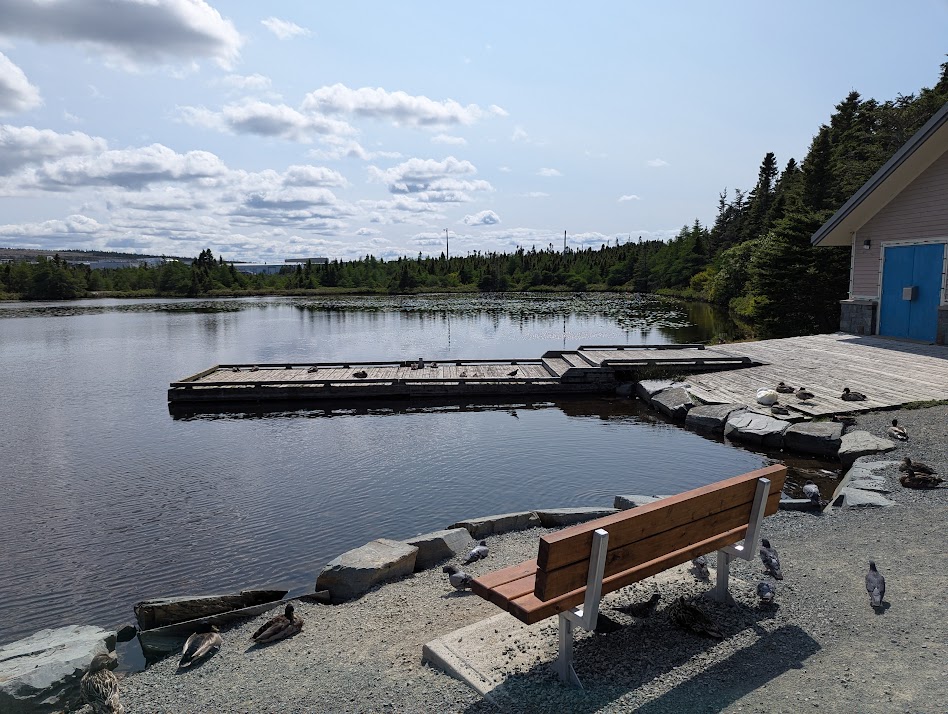 Bench and dock at Power's Pond
